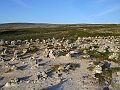 Nordkap 2009 461
